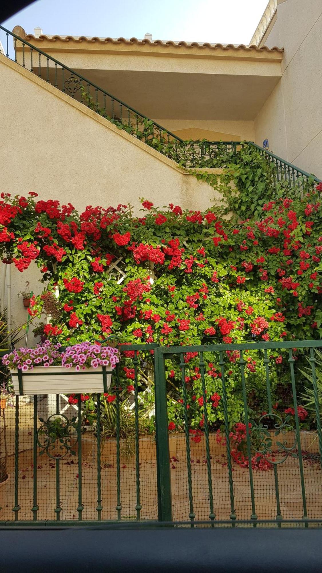 Apartamento Montegolf Con Terraza Privada *